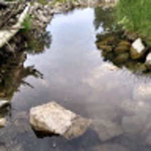 Meet your Posher, Barbara